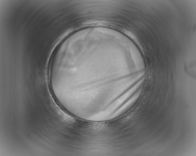 X0000068821090200605191827