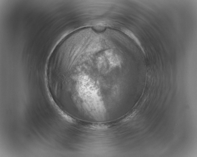 X0000068821091200605191827