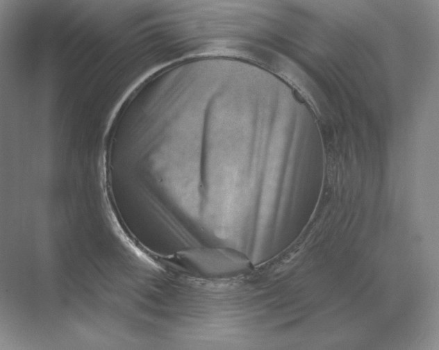 X0000068821092200605191827