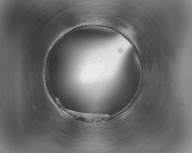 X0000068821093200605191827