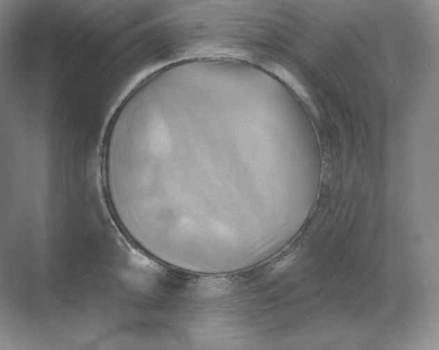 X0000068821094200605191827