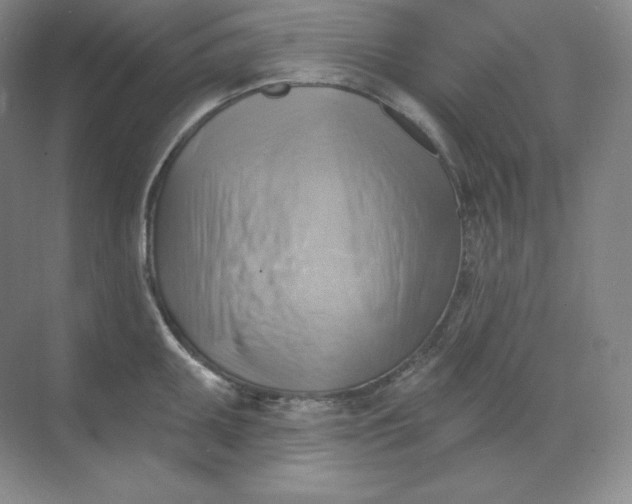 X0000068821095200605191827