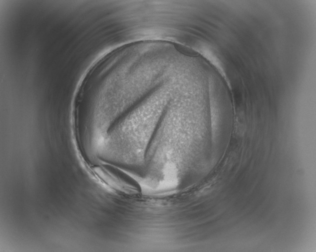 X0000068821096200605191827