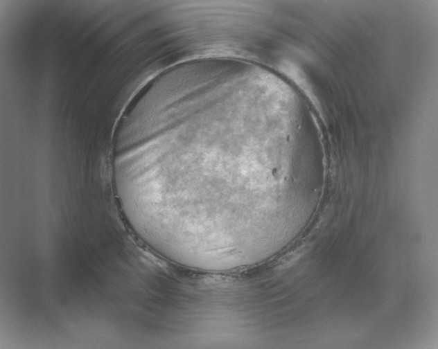 X0000068821097200605191827