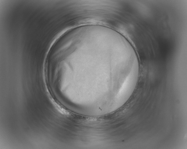 X0000068821098200605191827