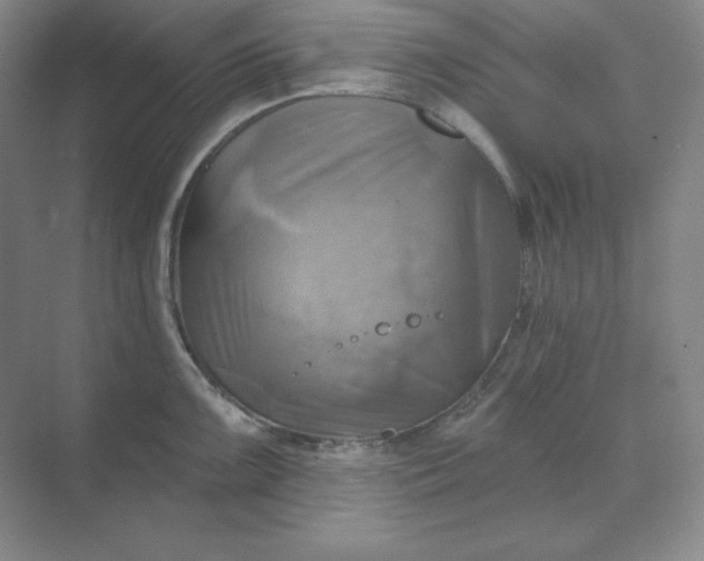 X0000068821099200605191827