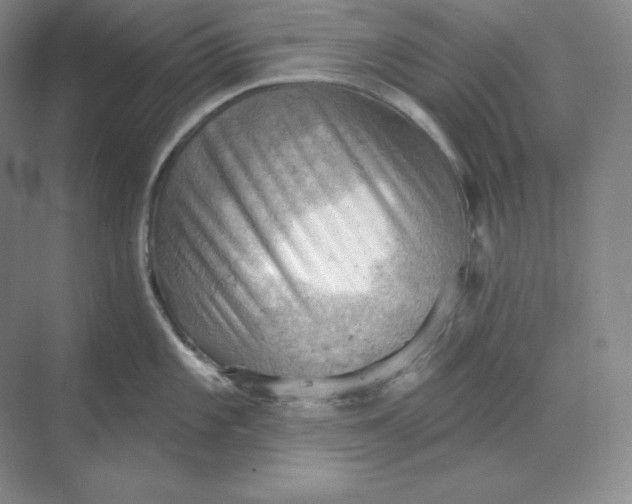 X0000068821101200605191826