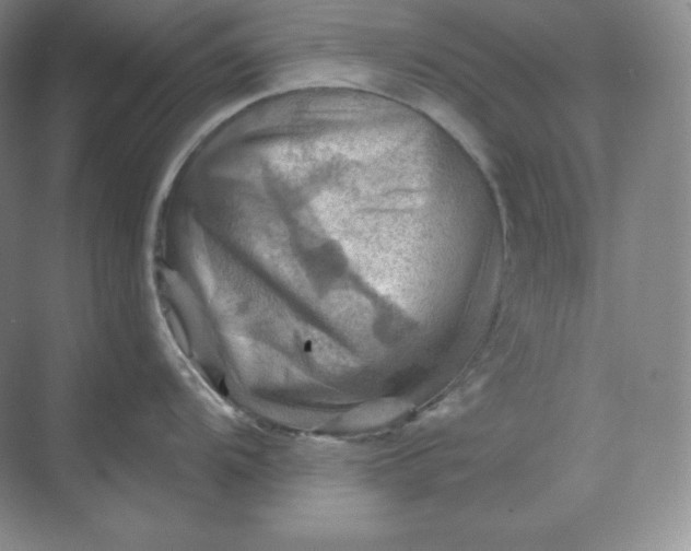 X0000068821104200605191826