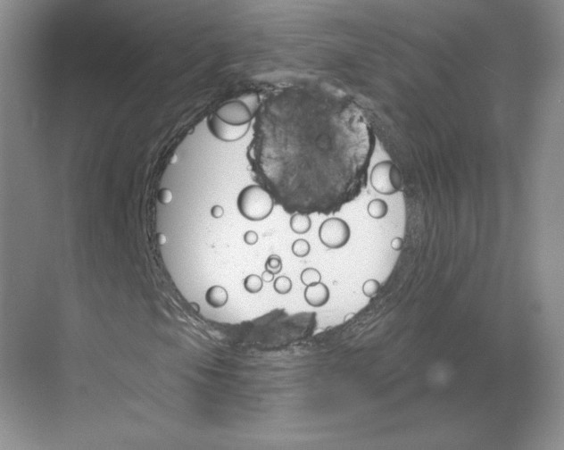 X0000068821105200605191826