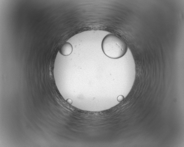 X0000068821106200605191826