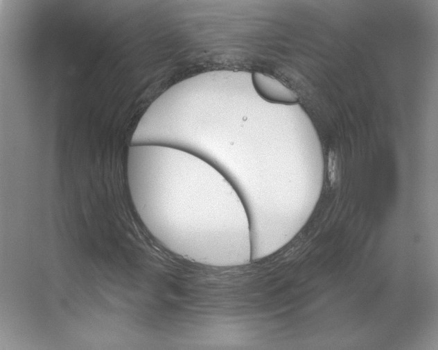 X0000068821107200605191826