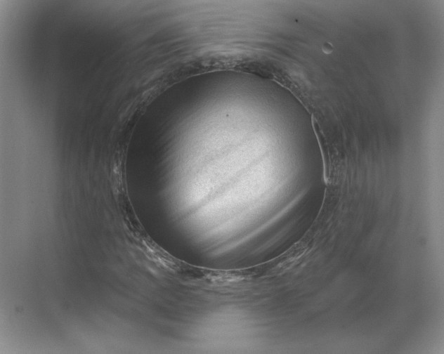 X0000068821109200605191826