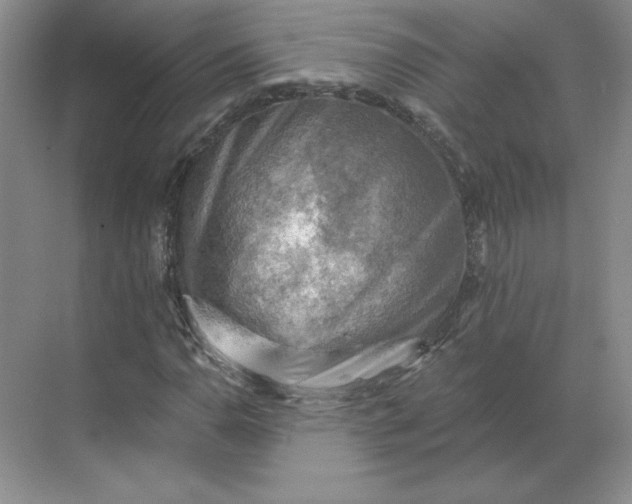 X0000068821110200605191826