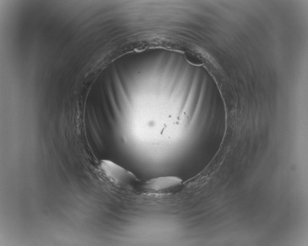 X0000068821111200605191826