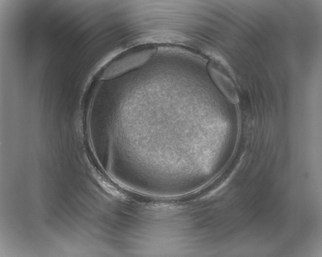 X0000068821114200605191826