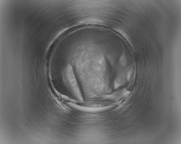 X0000068821115200605191826