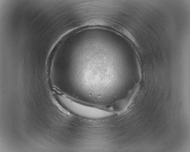 X0000068821116200605191826