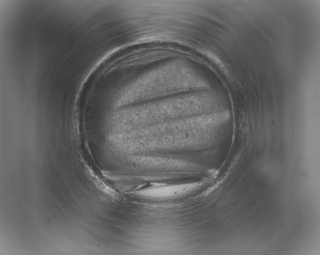 X0000068821118200605191826