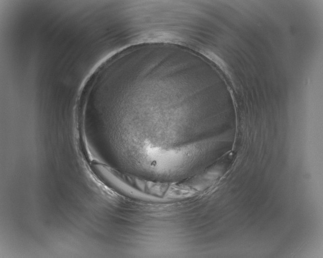 X0000068821120200605191826