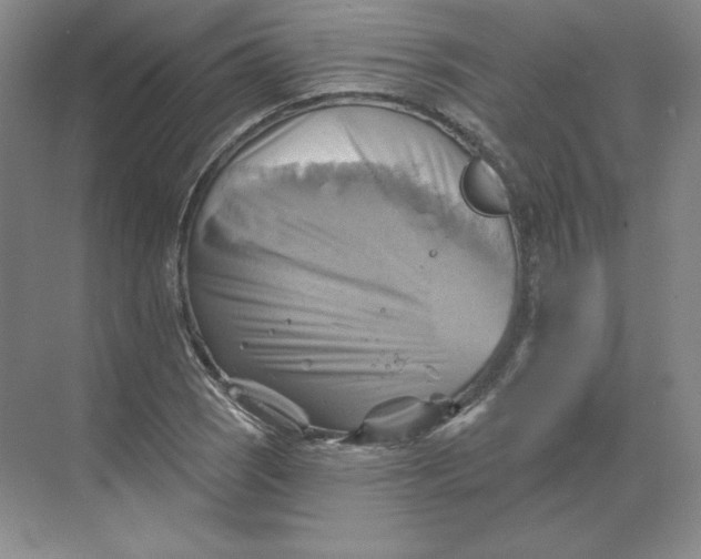 X0000068821121200605191826