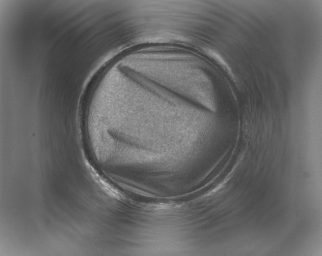 X0000068821122200605191826