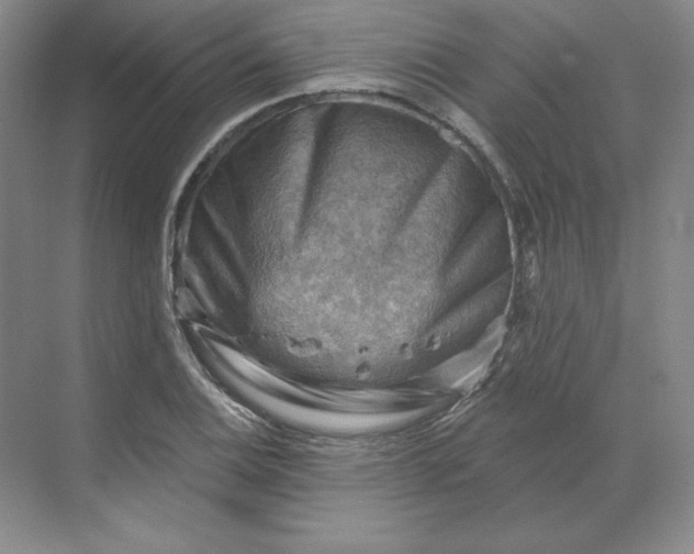 X0000068821124200605191826