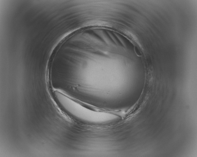 X0000068821125200605191826