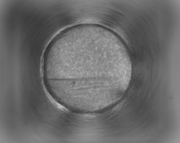 X0000068821126200605191826