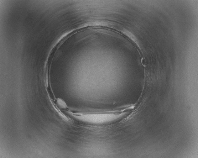 X0000068821127200605191826