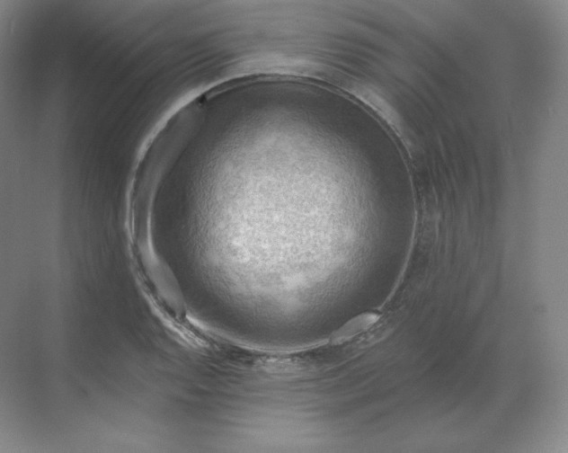 X0000068821128200605191826