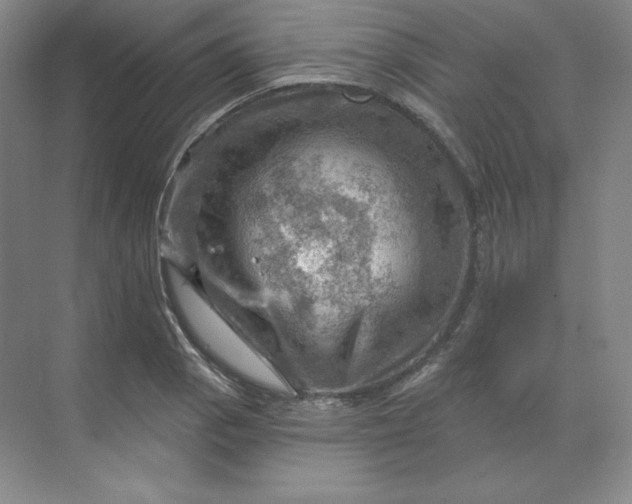 X0000068821129200605191826