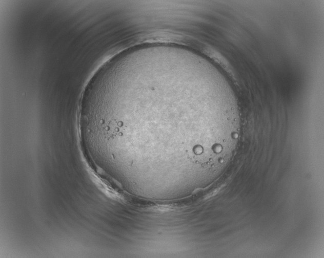 X0000068821130200605191826