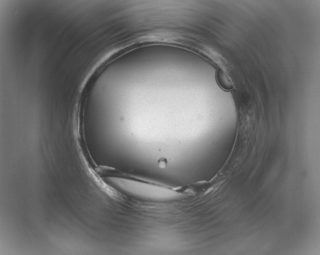 X0000068821131200605191826