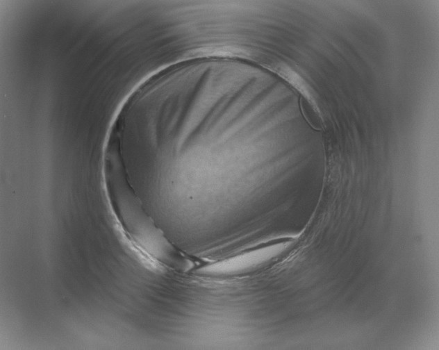 X0000068821132200605191826