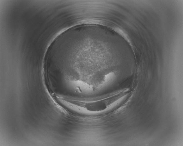 X0000068821133200605191826