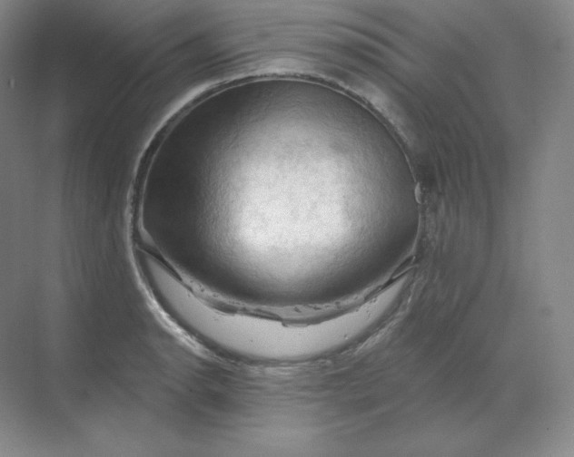 X0000068821134200605191826