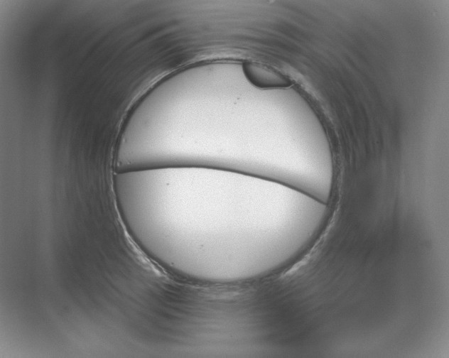 X0000068821137200605191826