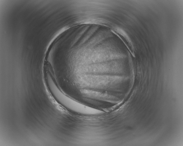 X0000068821138200605191826