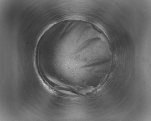 X0000068821139200605191826