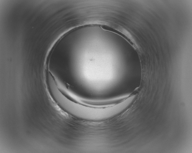 X0000068821140200605191826