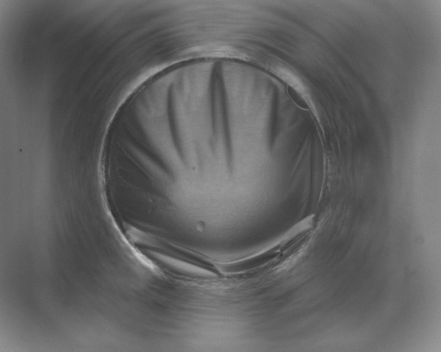 X0000068821141200605191826