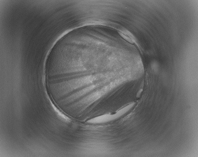 X0000068821143200605191826