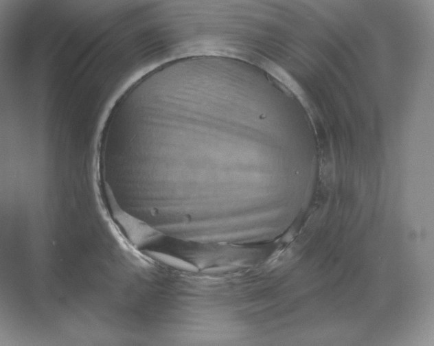 X0000068821144200605191826