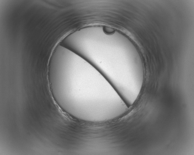 X0000068821145200605191826