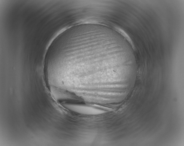 X0000068821146200605191826