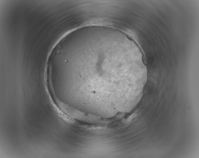 X0000068821147200605191826