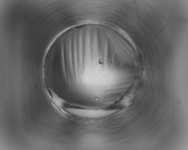 X0000068821148200605191826