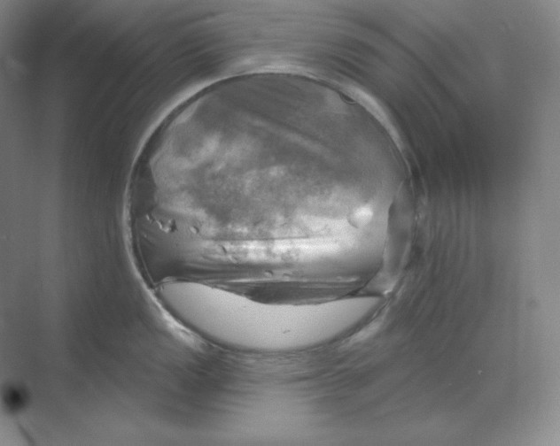 X0000068821149200605191826