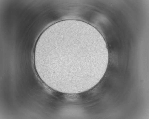 X0000068821150200605191826