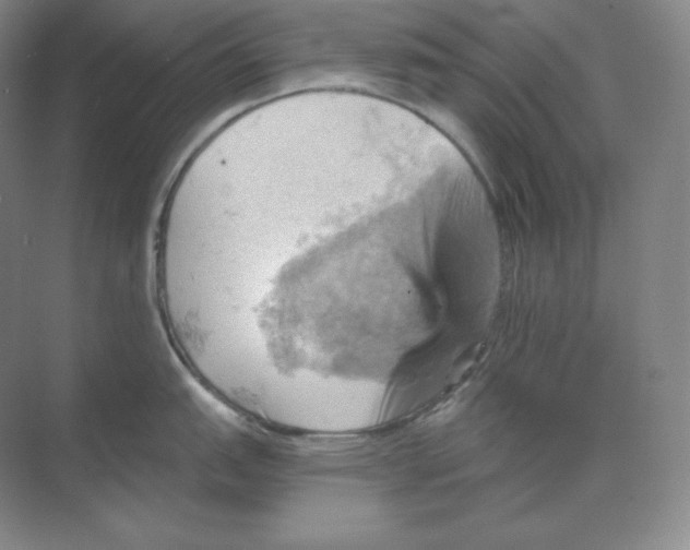 X0000068821151200605191826